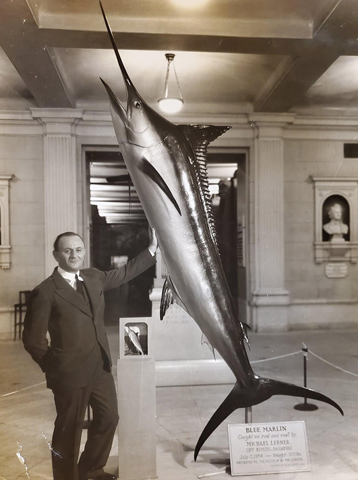man touching a Blue Marlin swordfish
